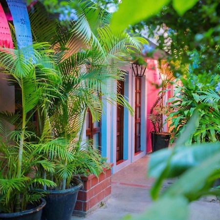 Hotel Las Golondrinas Oaxaca Екстериор снимка