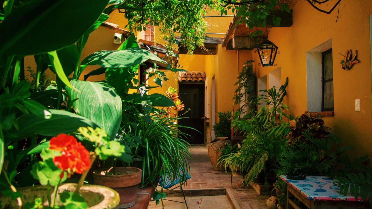 Hotel Las Golondrinas Oaxaca Екстериор снимка
