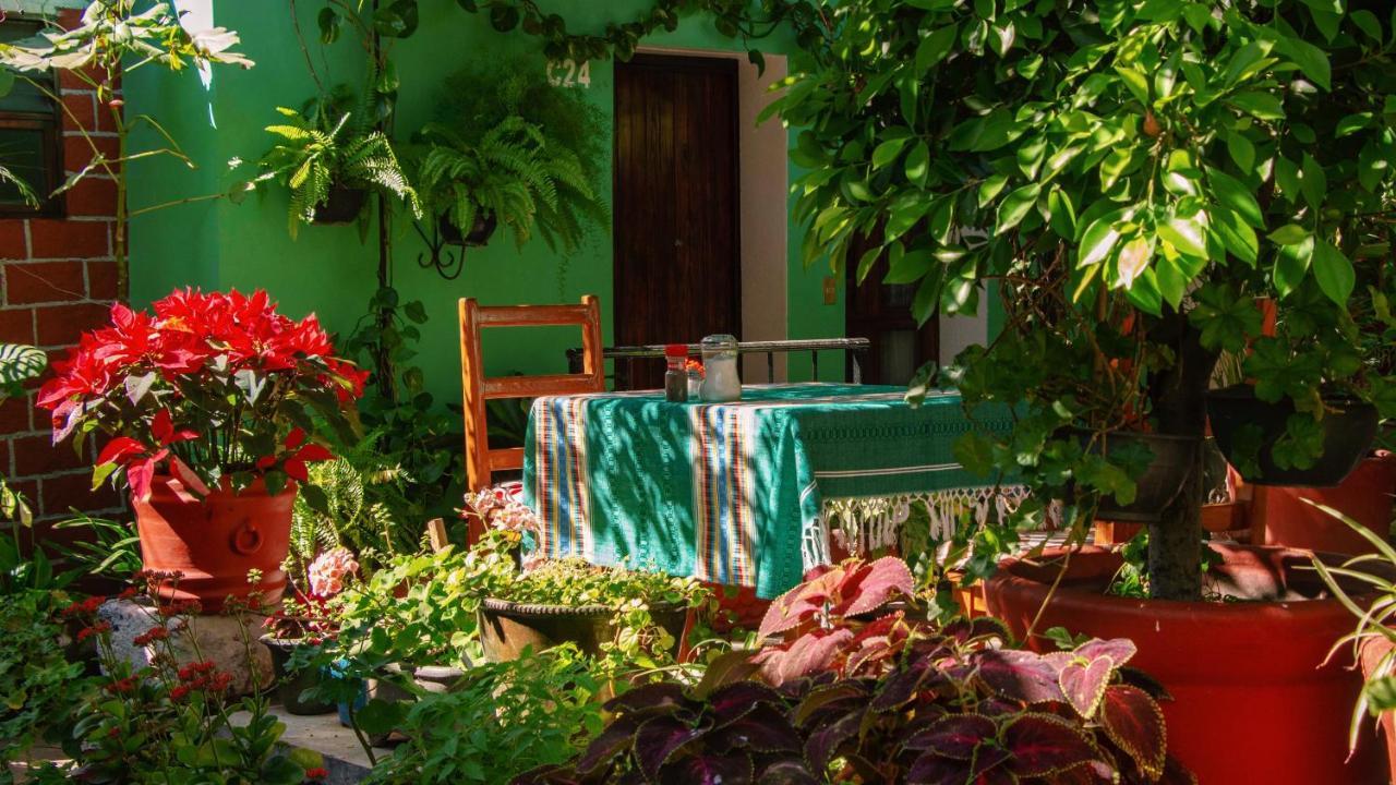 Hotel Las Golondrinas Oaxaca Екстериор снимка