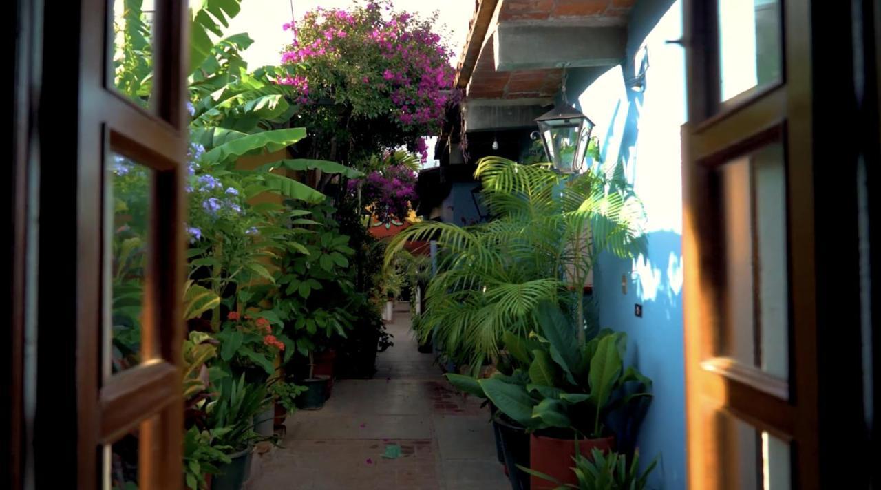 Hotel Las Golondrinas Oaxaca Екстериор снимка