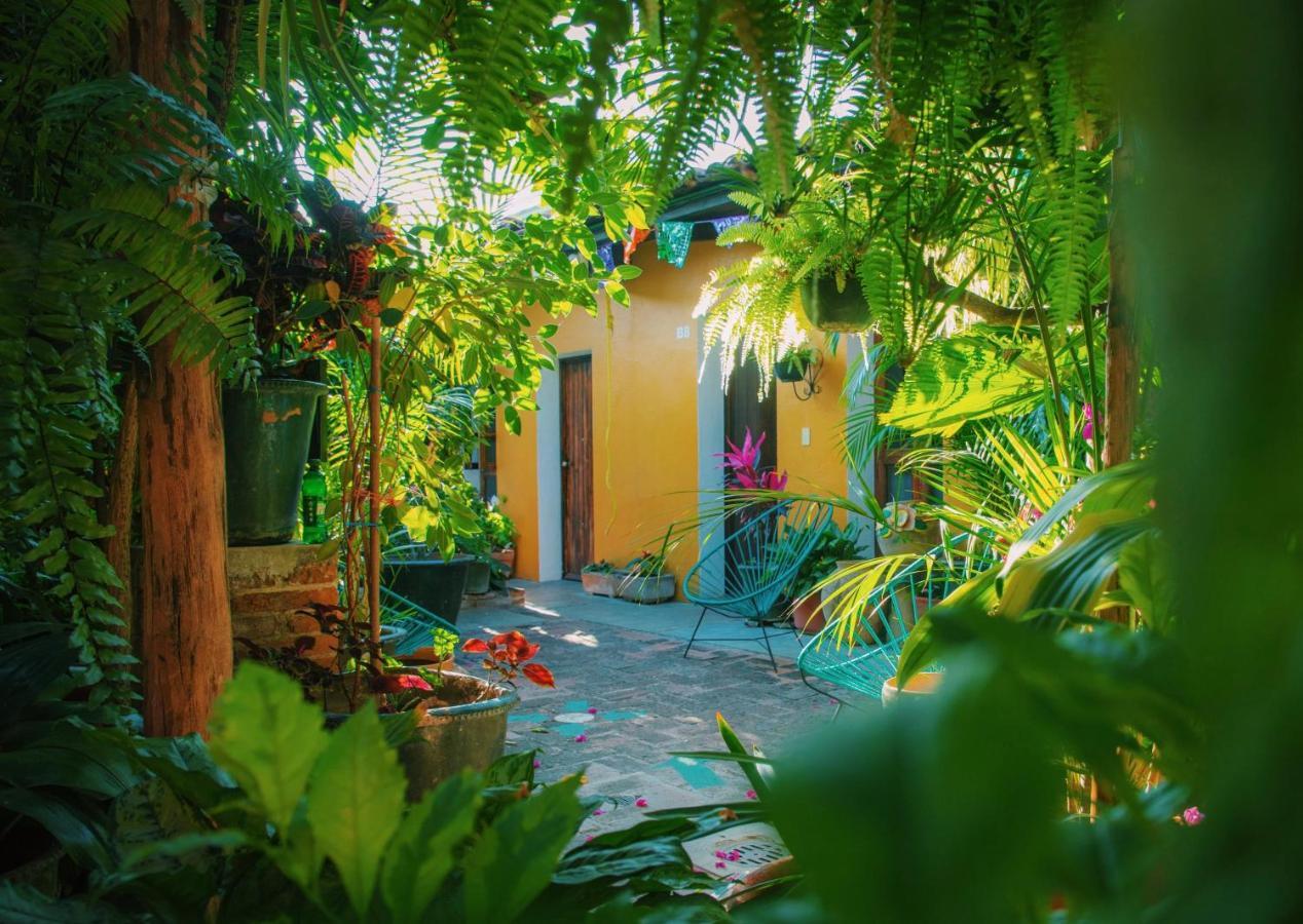 Hotel Las Golondrinas Oaxaca Екстериор снимка
