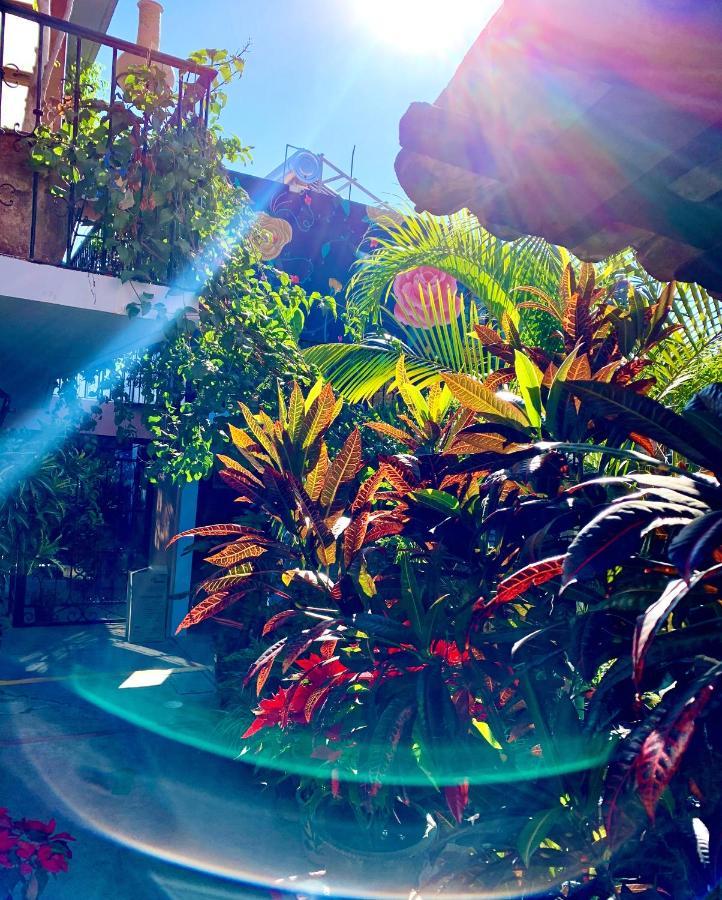 Hotel Las Golondrinas Oaxaca Екстериор снимка