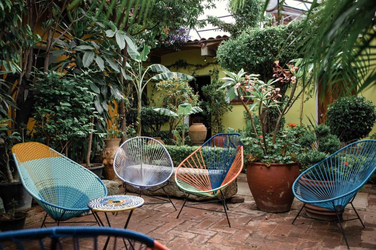 Hotel Las Golondrinas Oaxaca Екстериор снимка