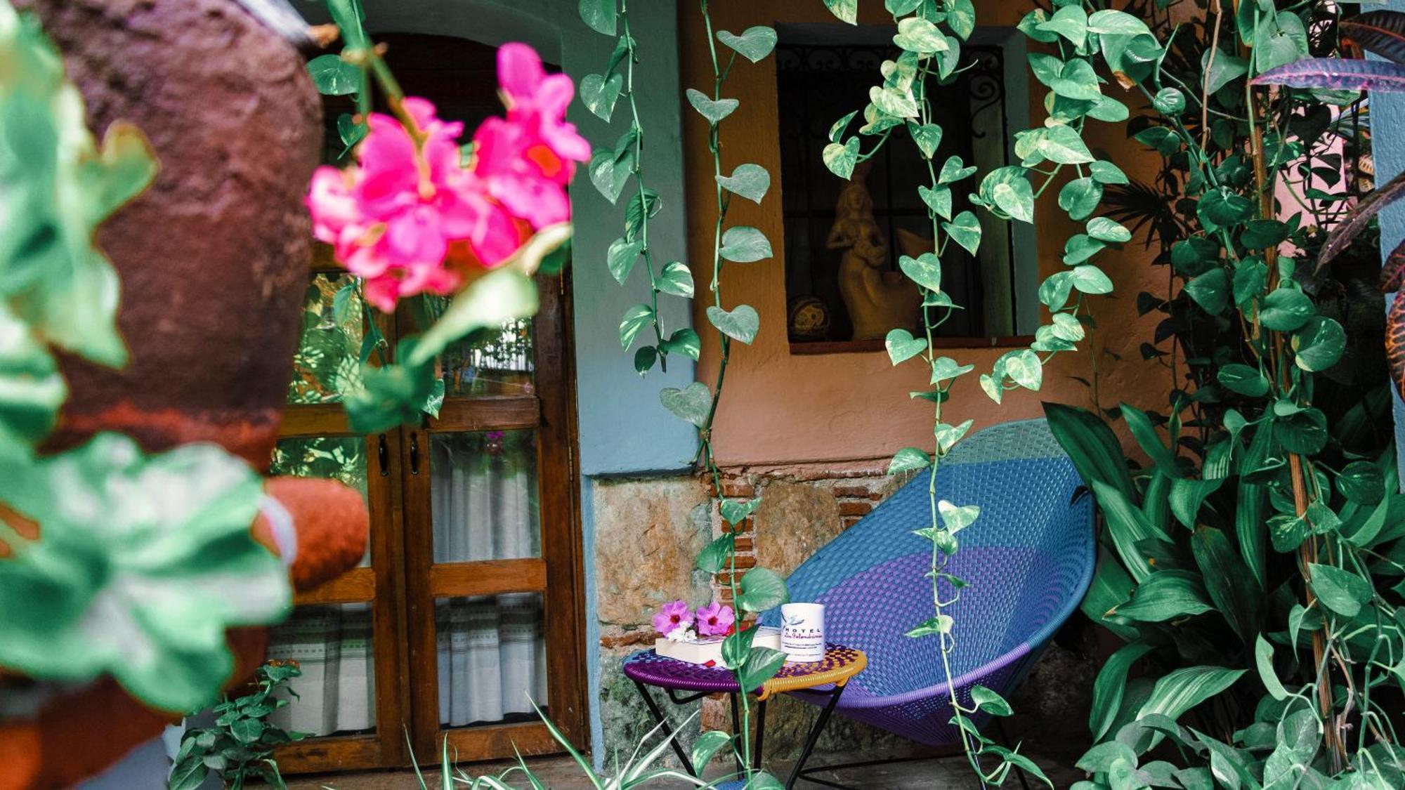 Hotel Las Golondrinas Oaxaca Екстериор снимка