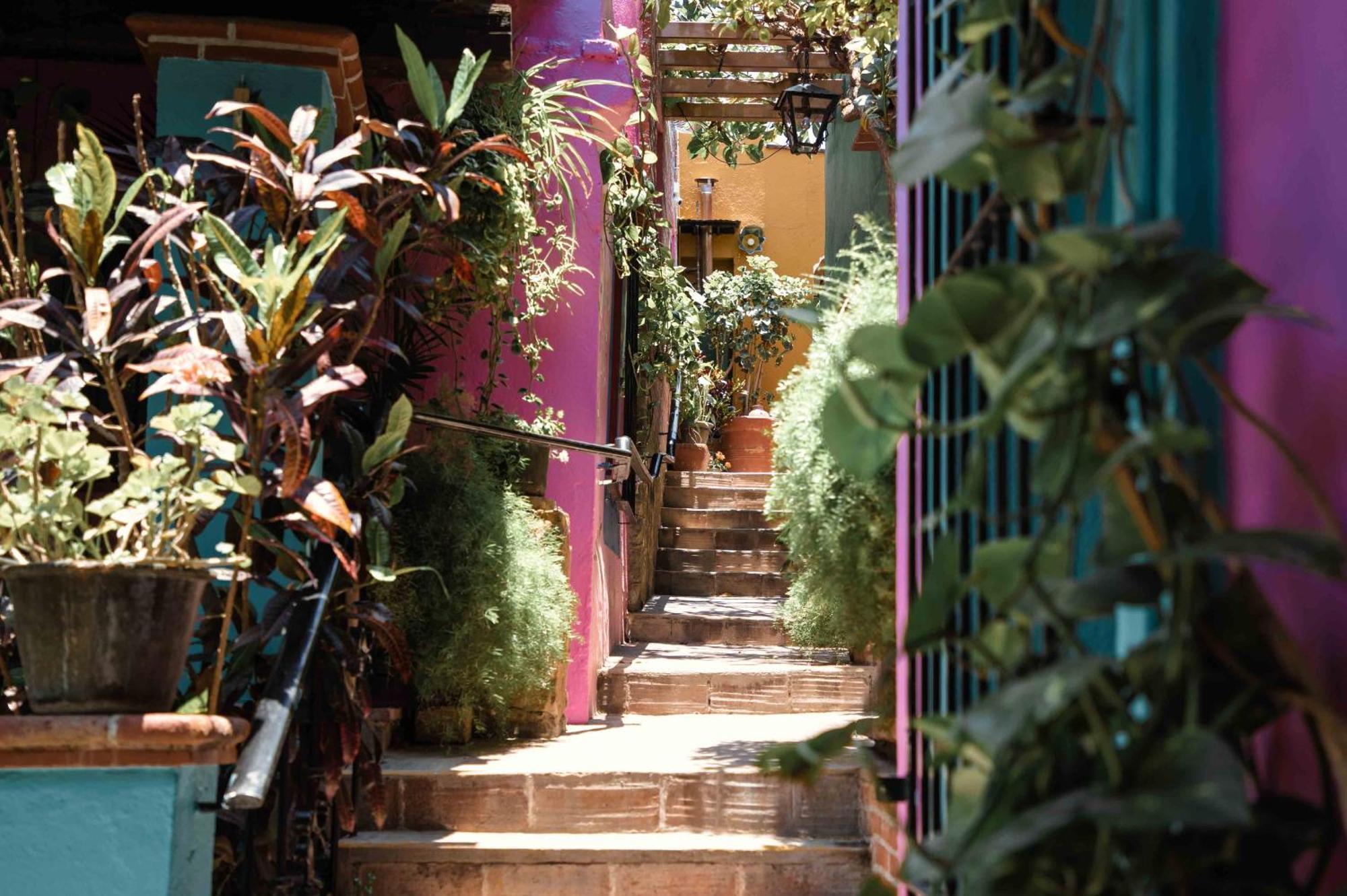 Hotel Las Golondrinas Oaxaca Екстериор снимка