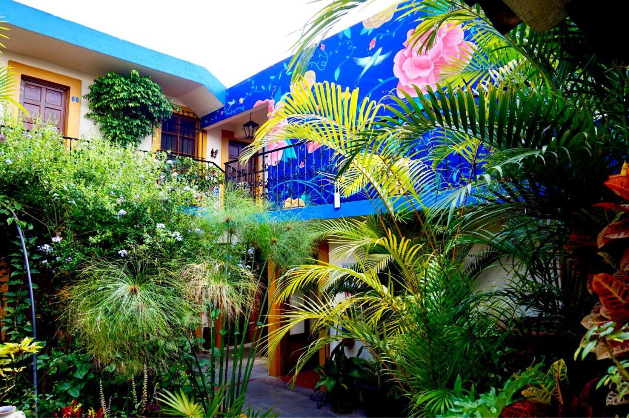 Hotel Las Golondrinas Oaxaca Екстериор снимка