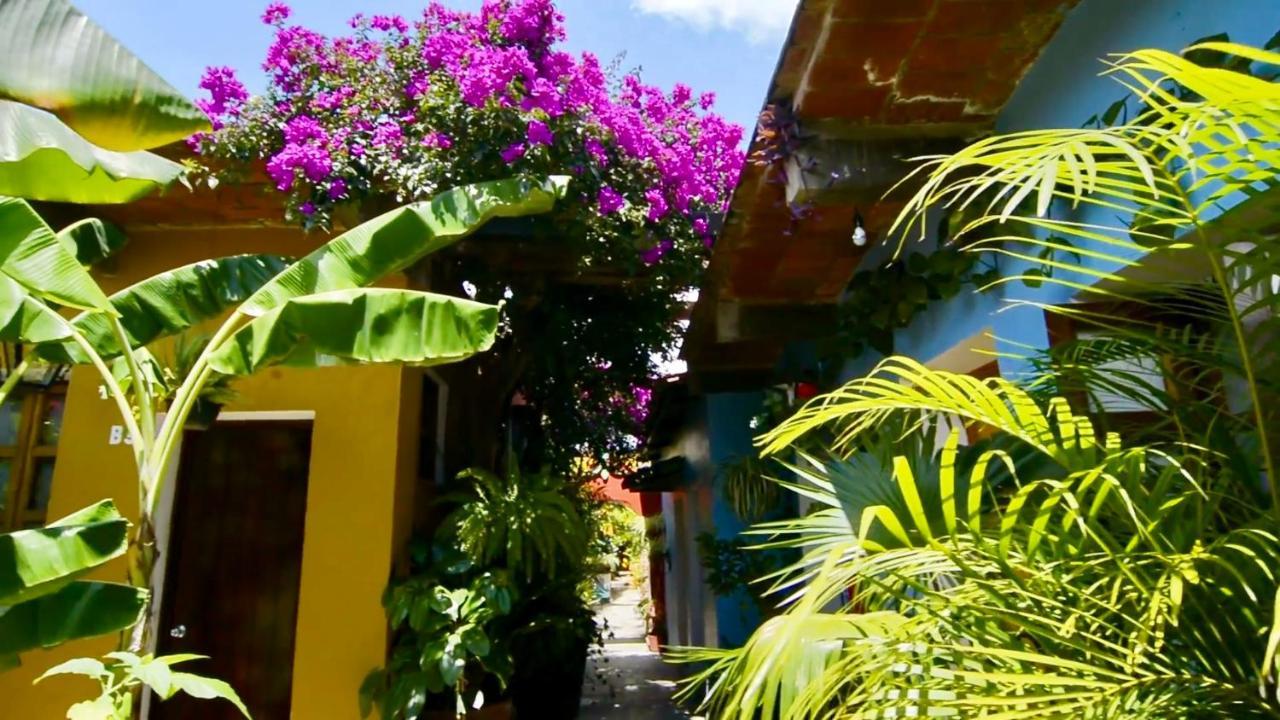 Hotel Las Golondrinas Oaxaca Екстериор снимка