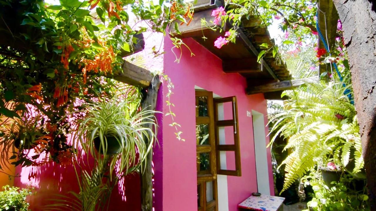 Hotel Las Golondrinas Oaxaca Екстериор снимка