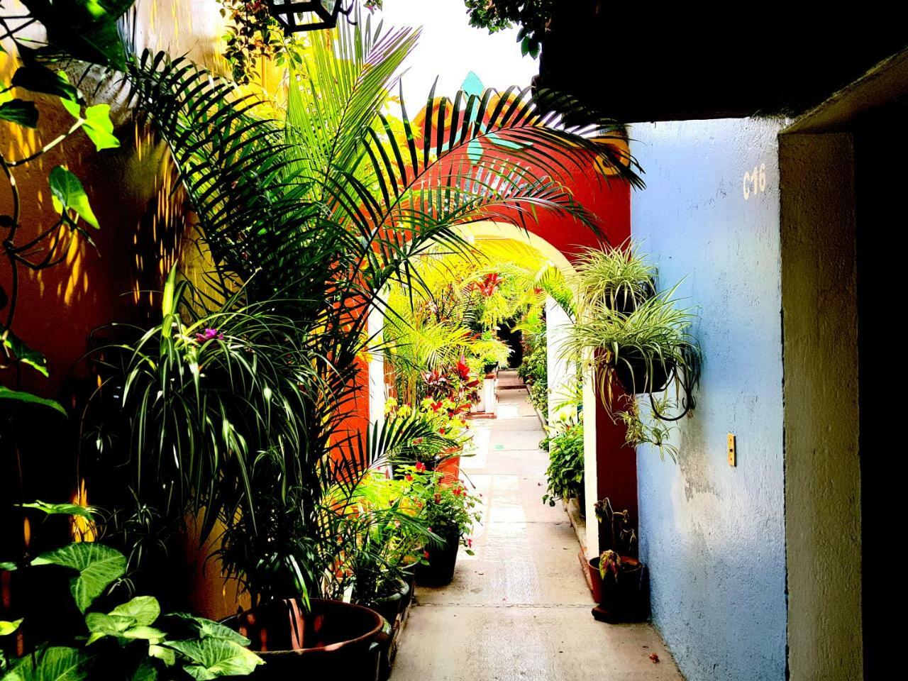 Hotel Las Golondrinas Oaxaca Екстериор снимка